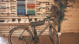 Santos bike styling